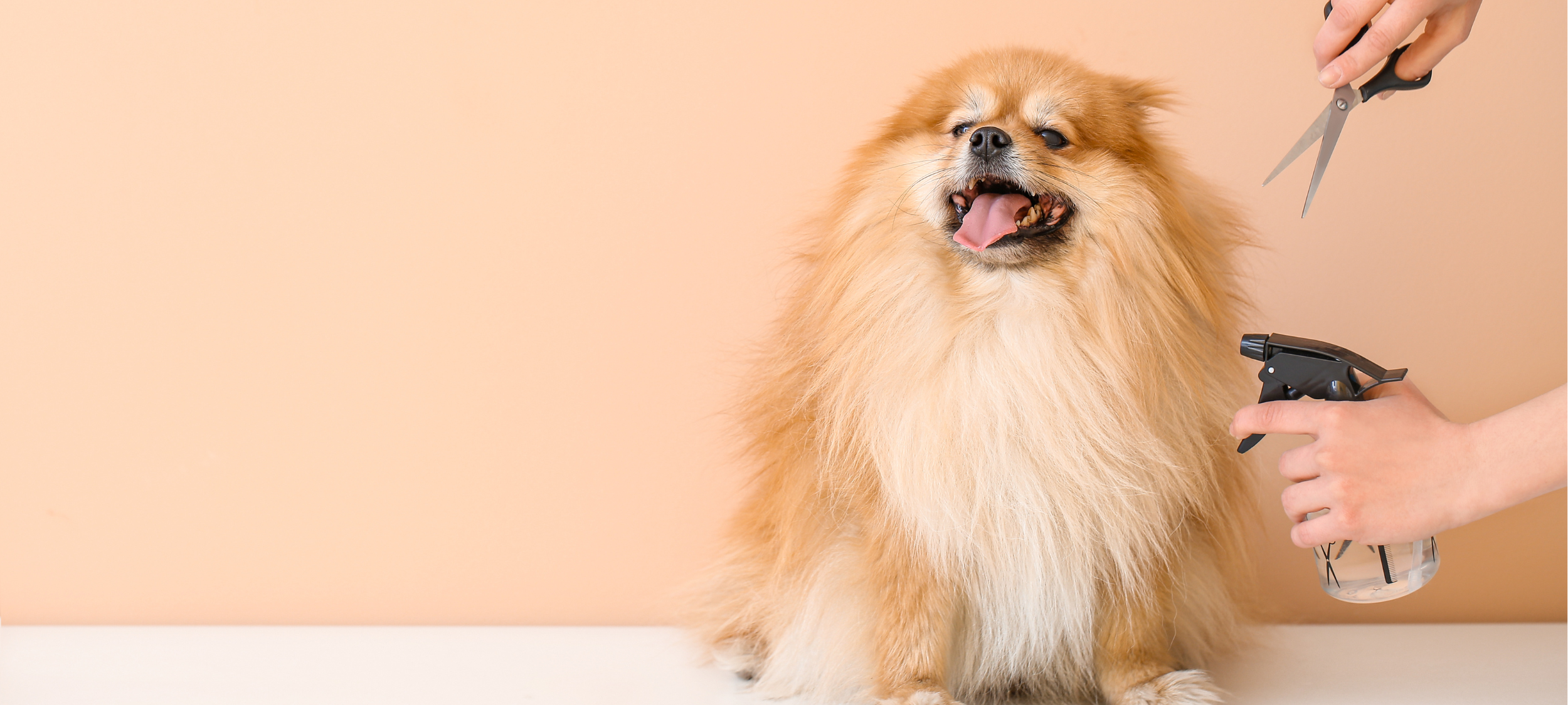 Pet Grooming