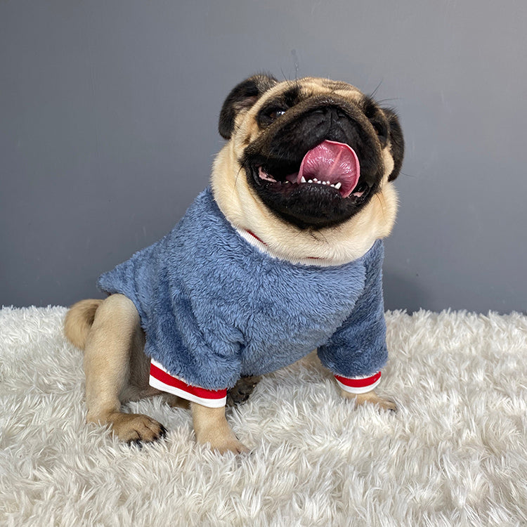 Dog Clothes