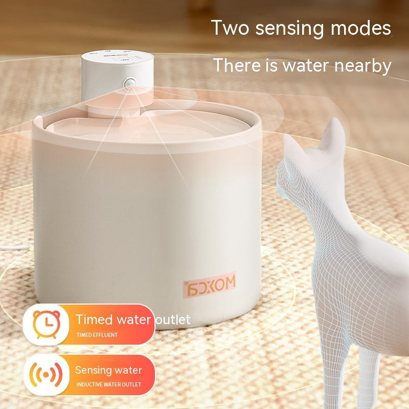 Smart, Filtered Water Dispenser for Cats