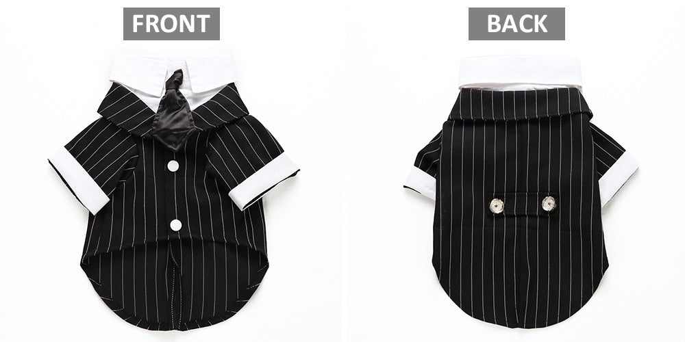 Trendy Comfortable Outfit for Your Pet