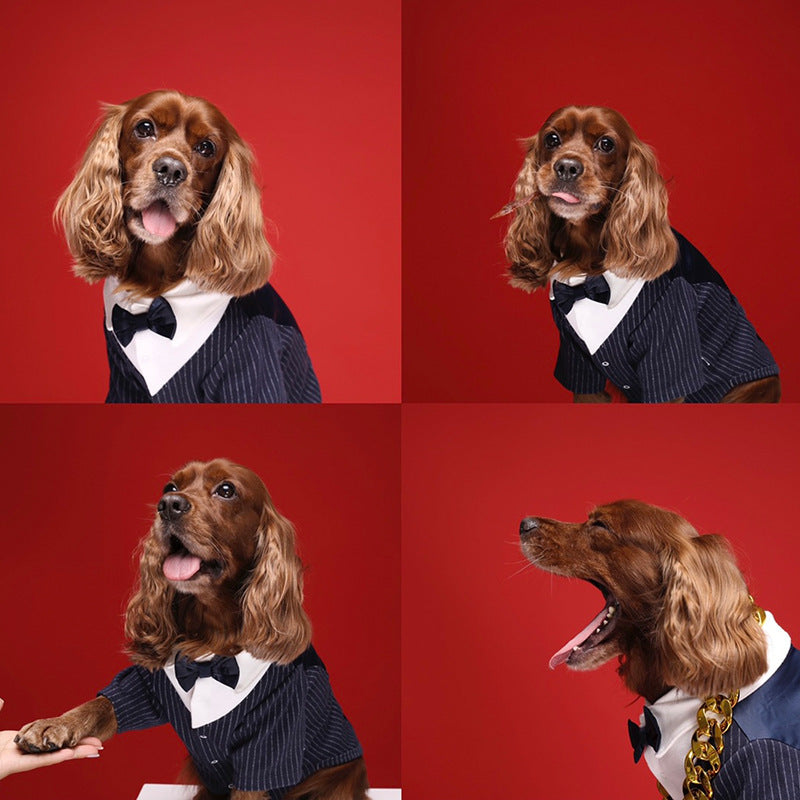 Stylish & Comfortable Outfit for Your Pup