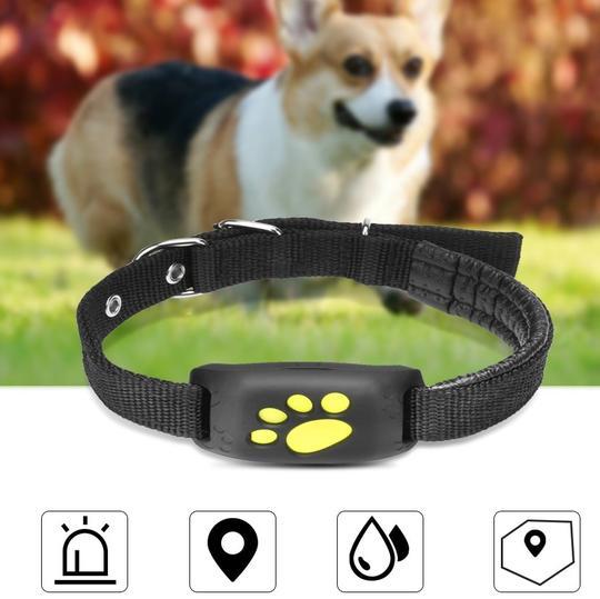 GPS Pet Tracker Real-Time Location Tracking