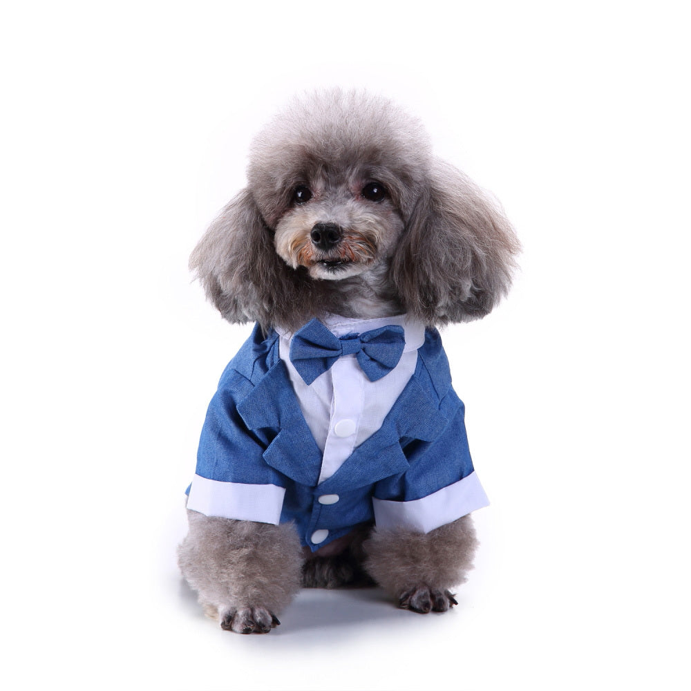 Trendy Comfortable Outfit for Your Pet