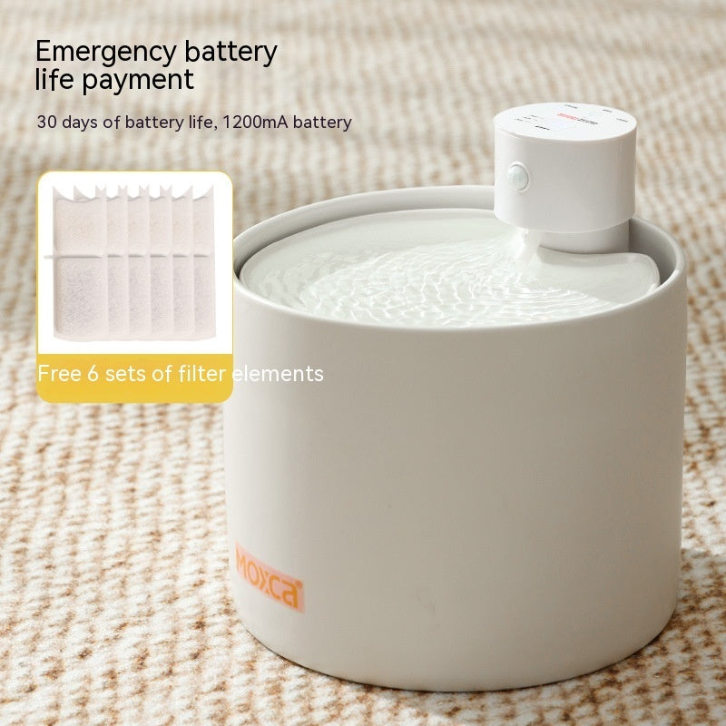 Smart, Filtered Water Dispenser for Cats