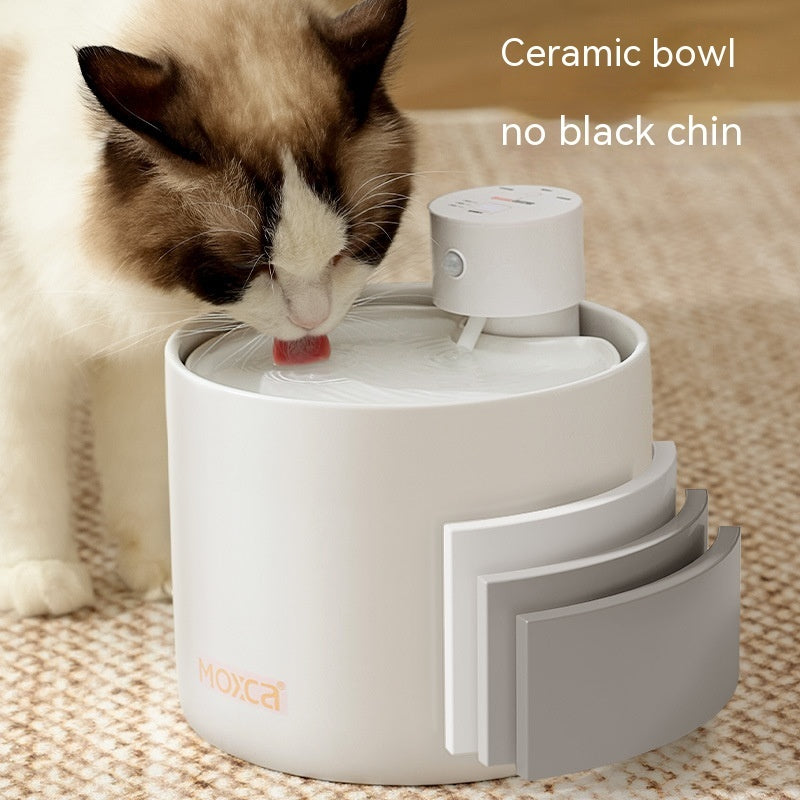 Smart, Filtered Water Dispenser for Cats