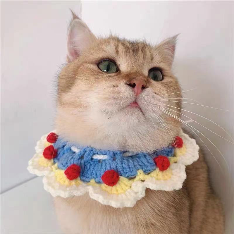 Cozy Knitted Pet Collar