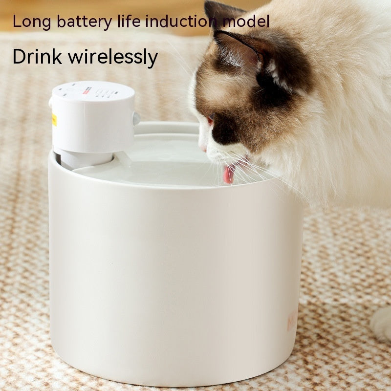 Smart, Filtered Water Dispenser for Cats