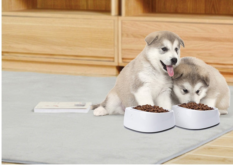 Pet weighing dog food bowl - Fur Retreat