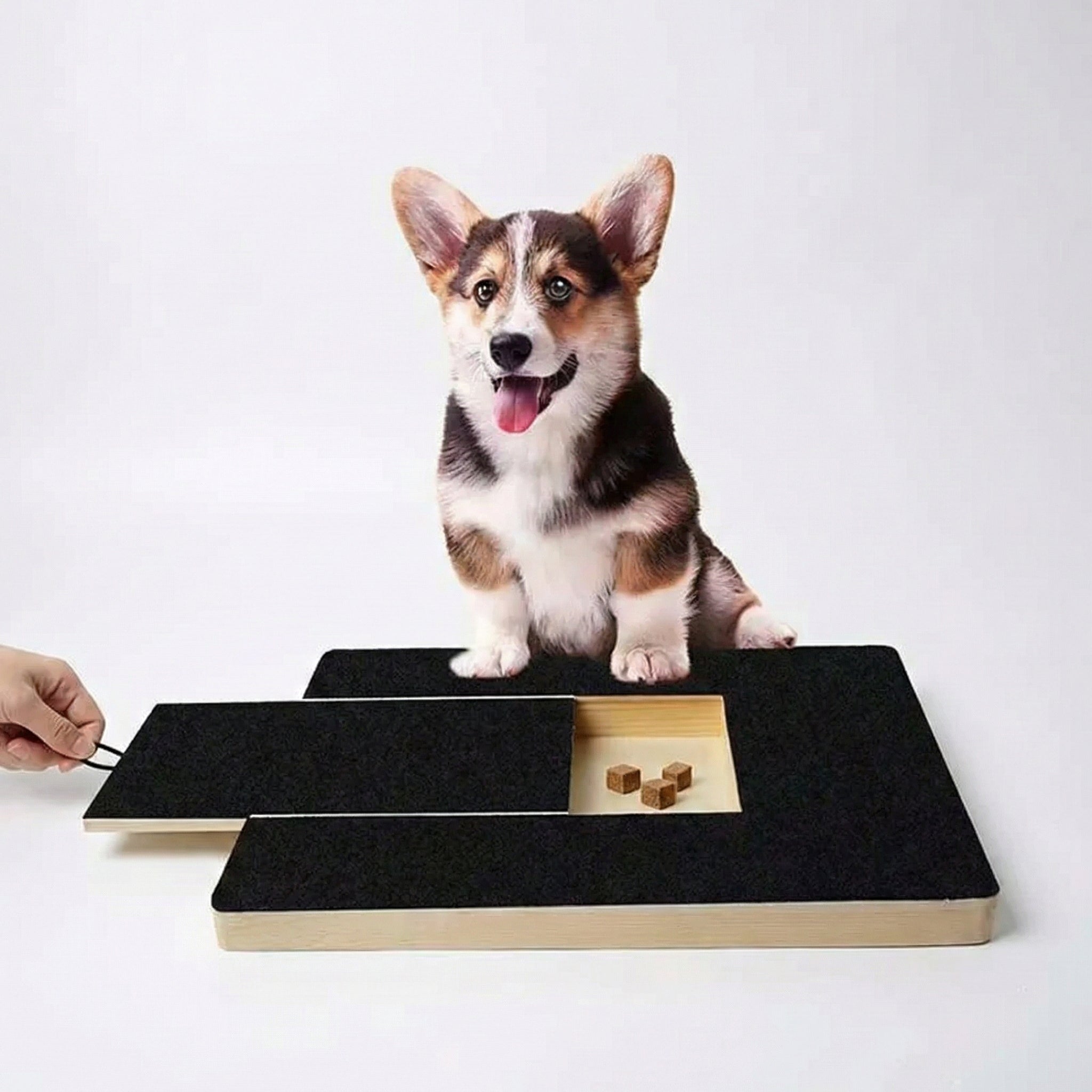 Stress-Free Dog Nail Scratch Board | Wooden Filing Pad with Treat Reward Drawer | Anxiety-Free Grooming Alternative