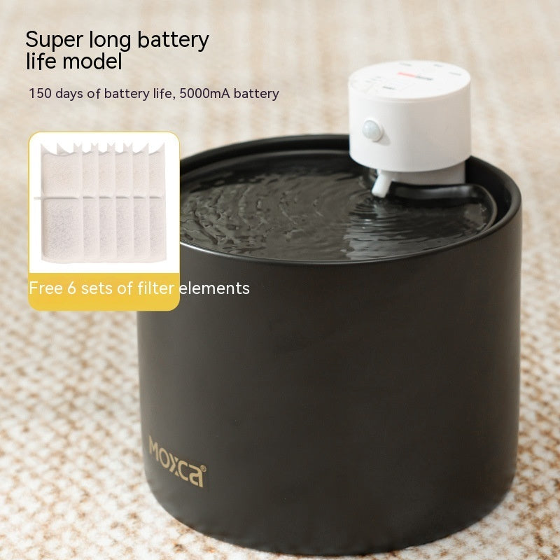 Smart, Filtered Water Dispenser for Cats