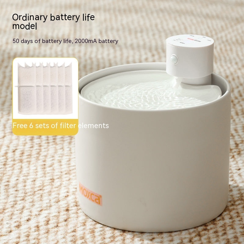 Smart, Filtered Water Dispenser for Cats